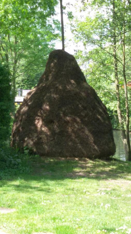 Kastanienhof Luebben 아파트 외부 사진